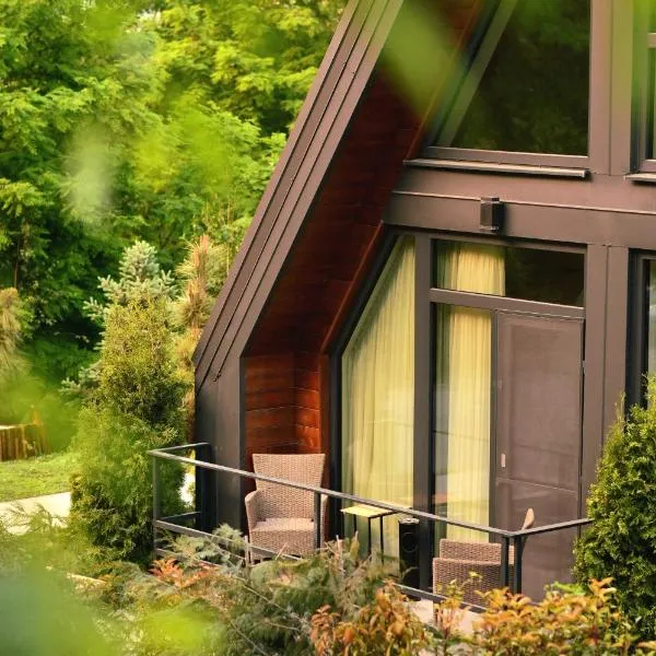 Chalet by Provence Suceava，位于苏恰瓦的酒店