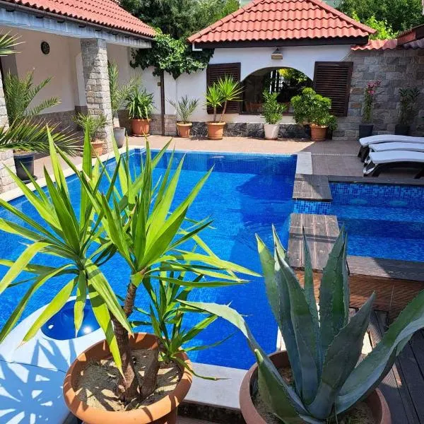 Къщи за гости Стария Орех，位于维丁的酒店