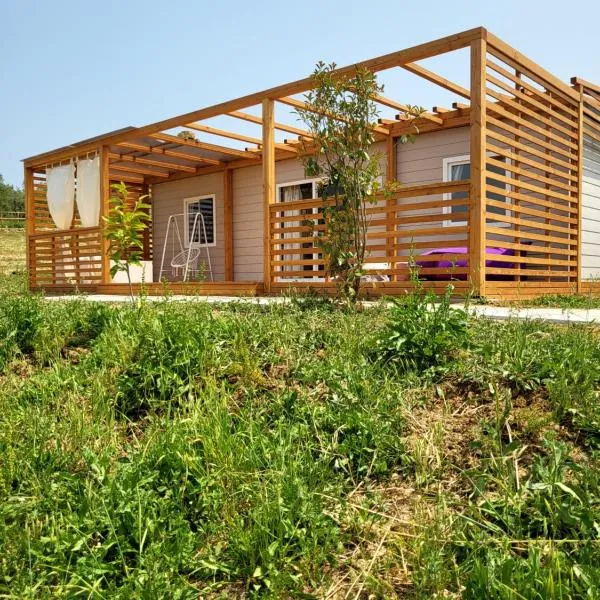 VioVillas Agriturismo Glamping Jacuzzi Arezzo，位于阿雷佐的酒店