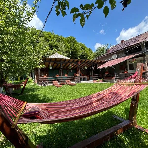 Cabana Ana，位于Vadu Moţilor的酒店