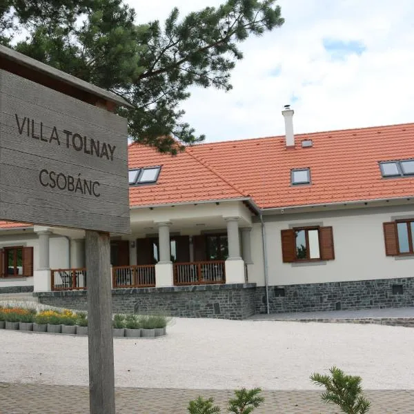 Villa Tolnay Vendégház，位于Diskahegy的酒店