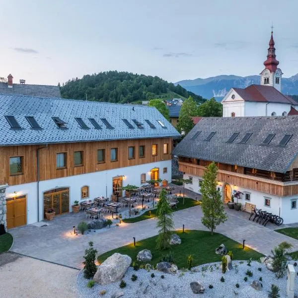 Hotel Julian Alps，位于佐尔尼耶戈迪的酒店