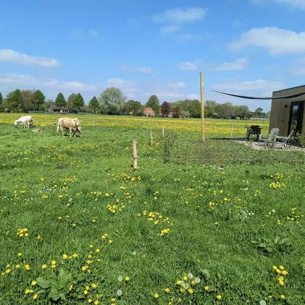 Natuurhuisje 't Hoogbos - Weidezicht，位于Schijf的酒店