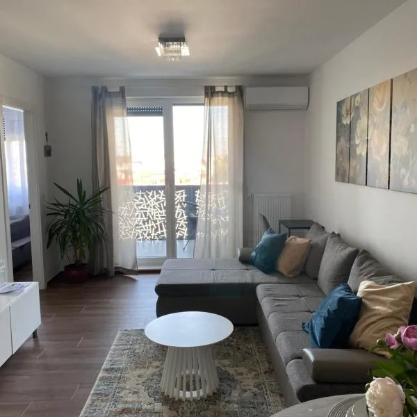 Dream Apartment VG - Self Check in - Garage，位于大戈里察的酒店