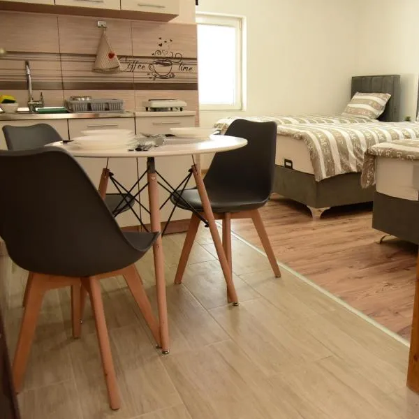 Visitor view apartment，位于普拉夫的酒店