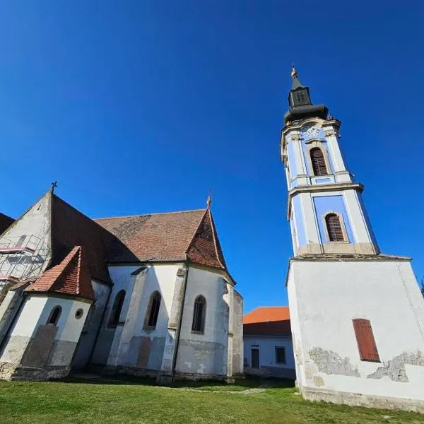 Museum Apartment in the City Center，位于拉茨凯韦的酒店