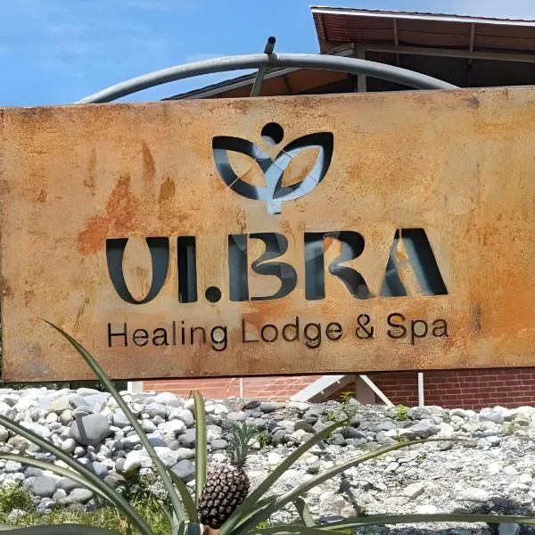 Vibra Healing Lodge y Spa，位于Teniente Hugo Ortiz的酒店