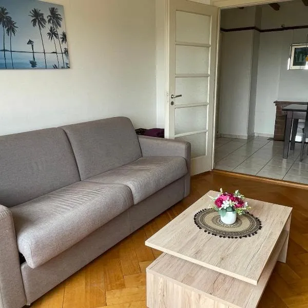 Appartement de 3 chambres à coucher，位于洛桑的酒店