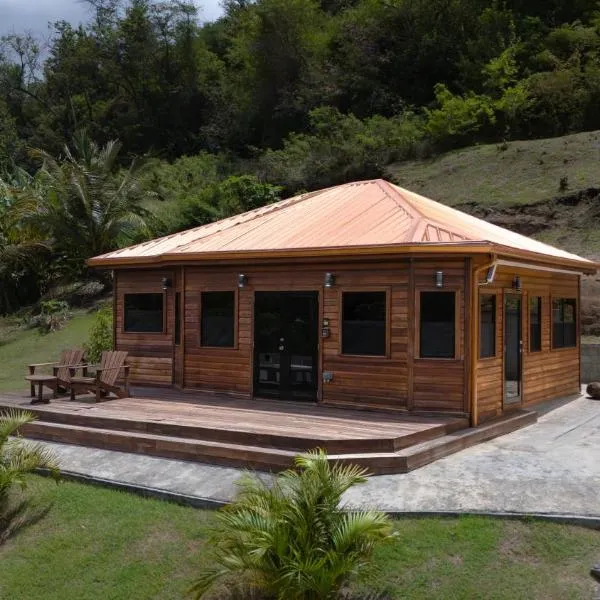 Grenada Countryside Cabin，位于Baillies Bacolet的酒店