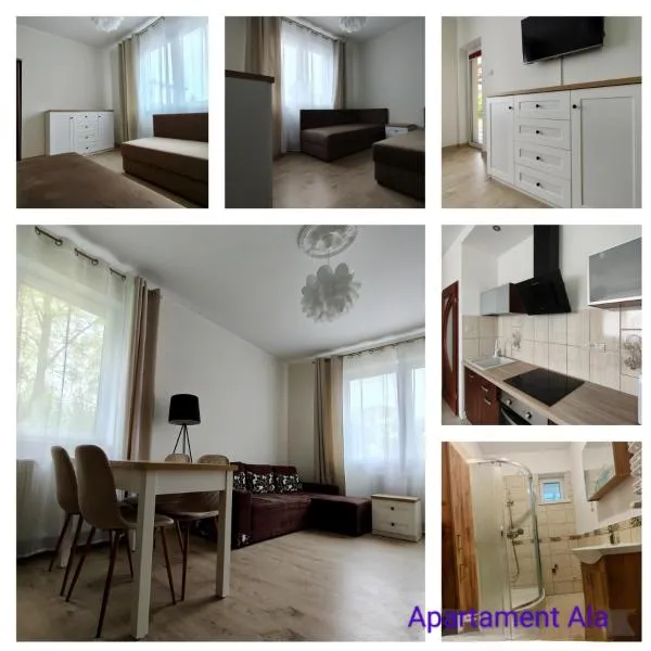 Apartament Ala，位于Przewłoka的酒店