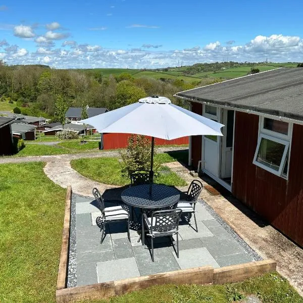 Elm Rise Place，位于Llangain的酒店