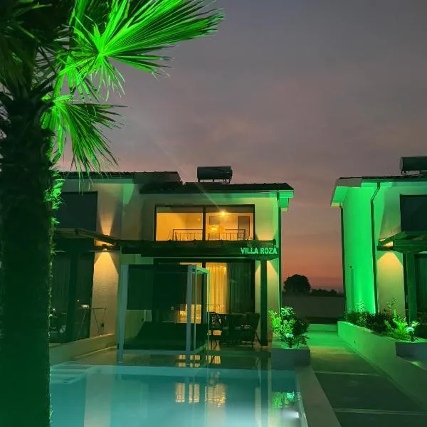 Villa Roza，位于卡利塞亚-豪客迪克斯的酒店