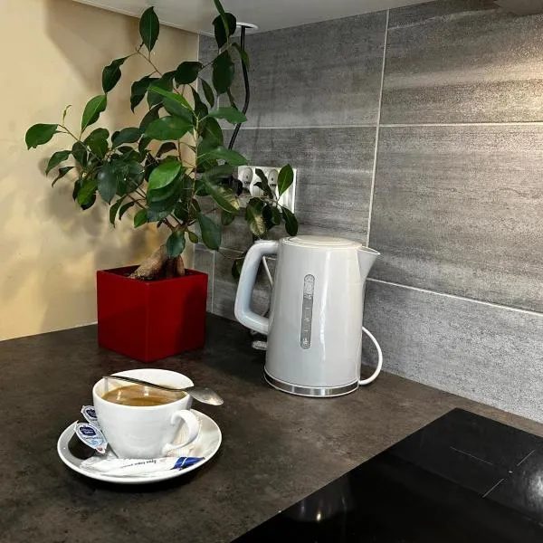Apartamenty pod Szczęśliwym Koniem，位于Łoźnica的酒店