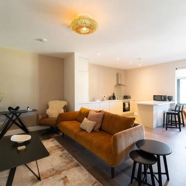 Riverside Dingle - Luxury Apt 1，位于丁格尔的酒店