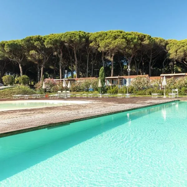 Camping Pineta sul Mare，位于切塞纳蒂科的酒店