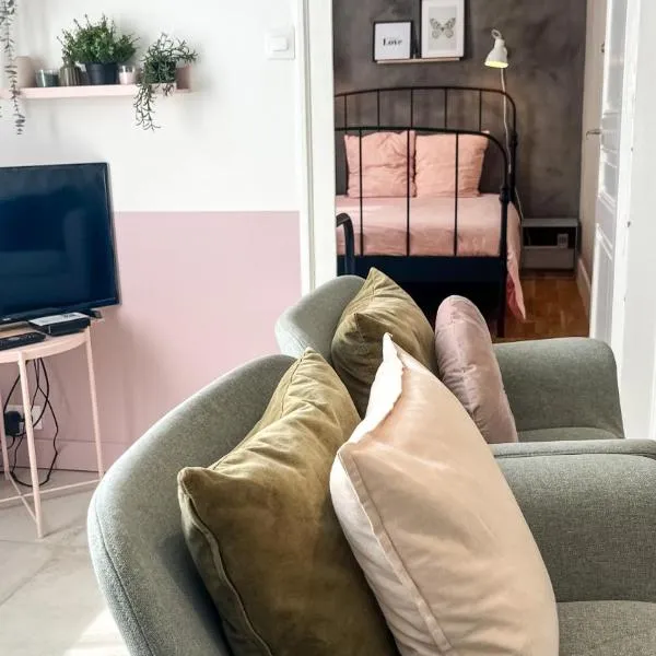 Parking privé - Jazz à Vienne 12 min - Gare - Balcon，位于维也纳的酒店