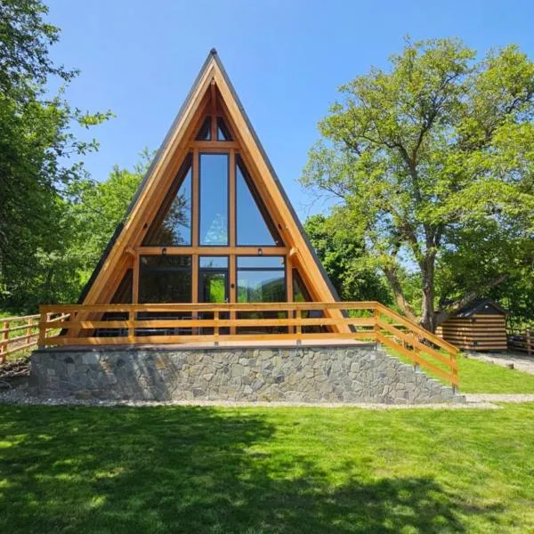 Old Nut Cabin，位于Teşila的酒店