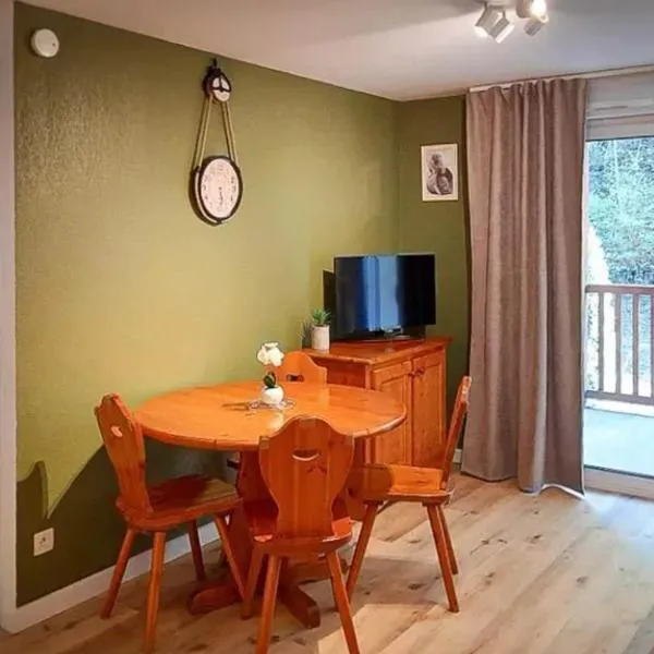Appartement cosy à Saint-Lary-Soulan 28 m² avec piscine，位于圣拉里苏朗的酒店