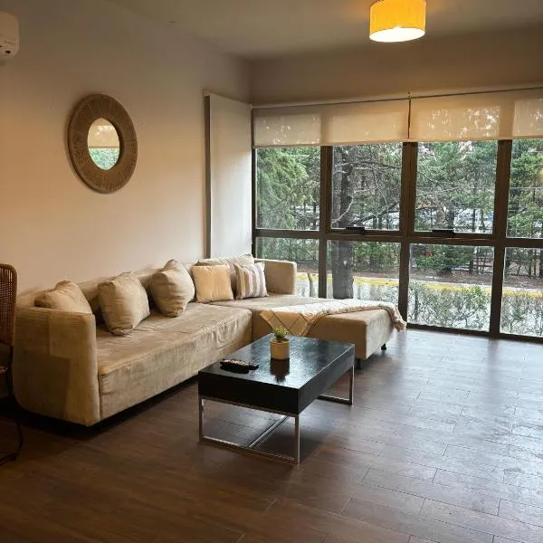 Pilar Suites by Viva，位于皮拉尔的酒店