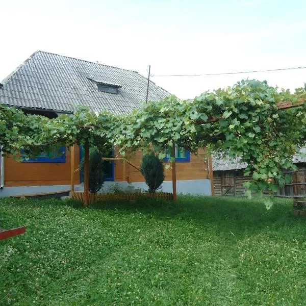 Casa din Dâmb，位于Breb的酒店
