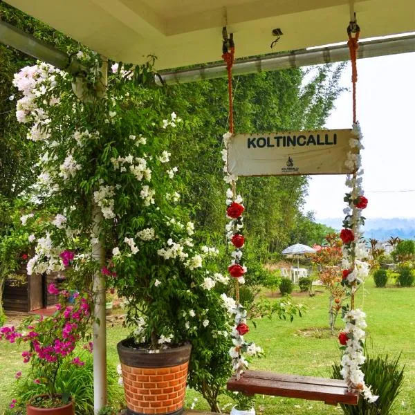 Koltincalli，位于Xico的酒店