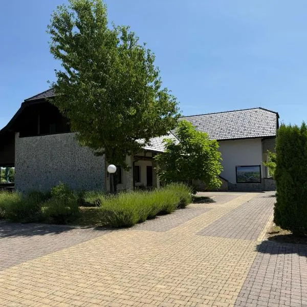 Villa Stone 1，位于拉科维察的酒店