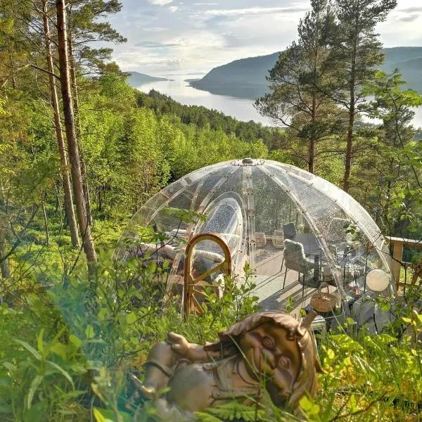 Glassigloo med panoramautsikt - Nordlys og stjernehimmel - Fosen，位于Husby的酒店