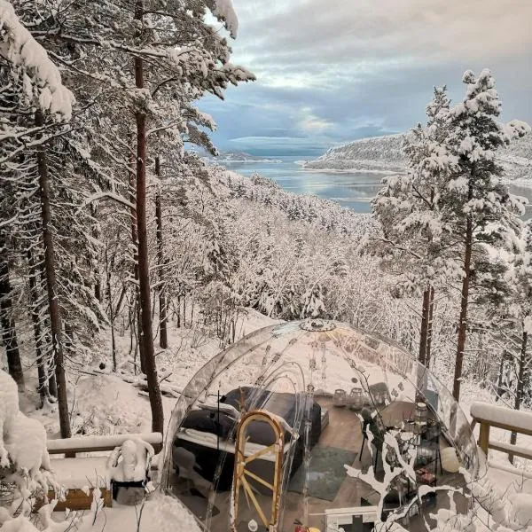 Sørfjorden Eye Iglo - Fosen，位于Husby的酒店