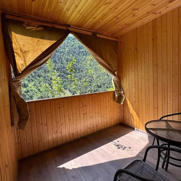 Guest House Saoti，位于Shatili的酒店