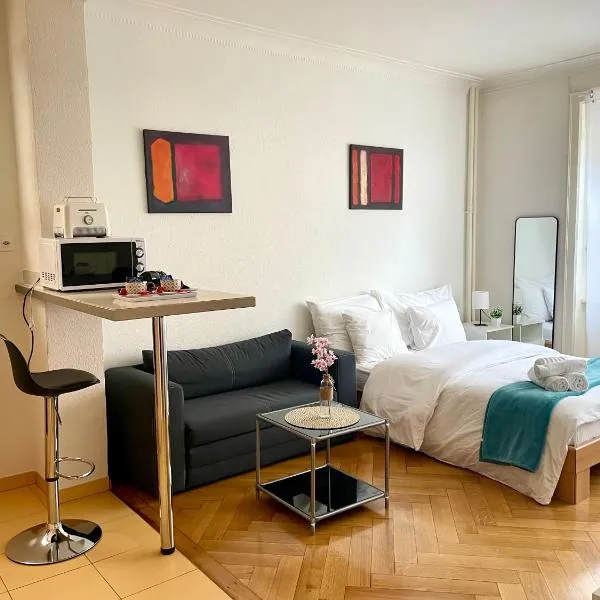 Down Town Studio，位于洛桑的酒店