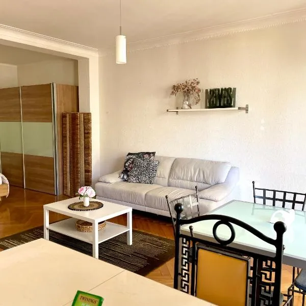Appartement à 9 minutes à pied de la gare de Lausanne，位于洛桑的酒店