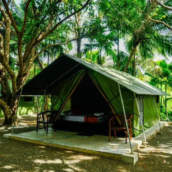 Mango Safari Camping Udawalawe，位于达瓦拉维的酒店