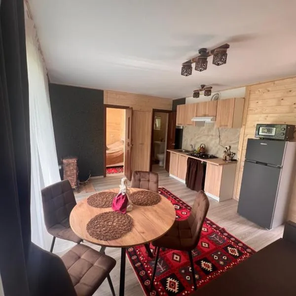 Гармонія біля річки，位于斯科列的酒店