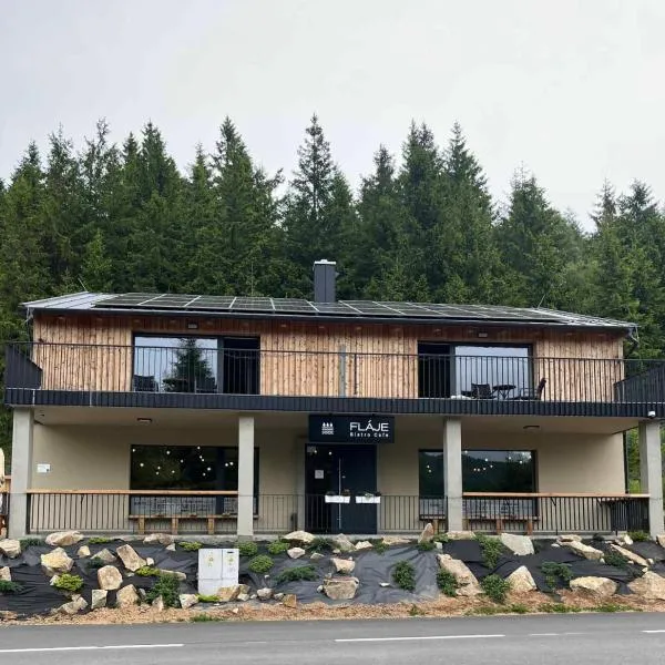 Fláje Apartmány，位于Český Jiřetín的酒店