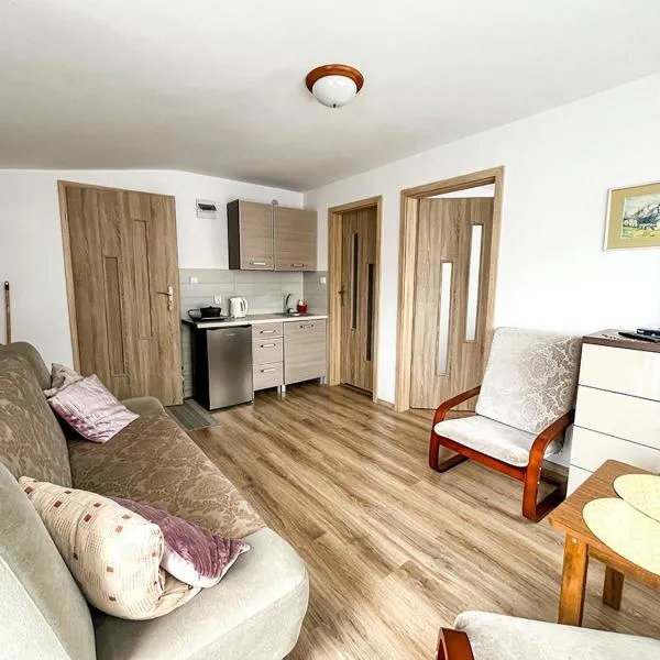 Pokoje i apartamenty Pod Dębem，位于罗威的酒店