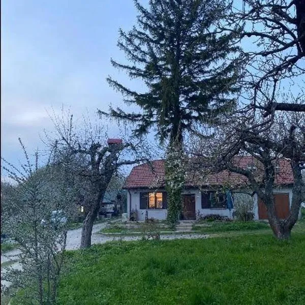 Agroturystyka Podłazy，位于Piotrów的酒店