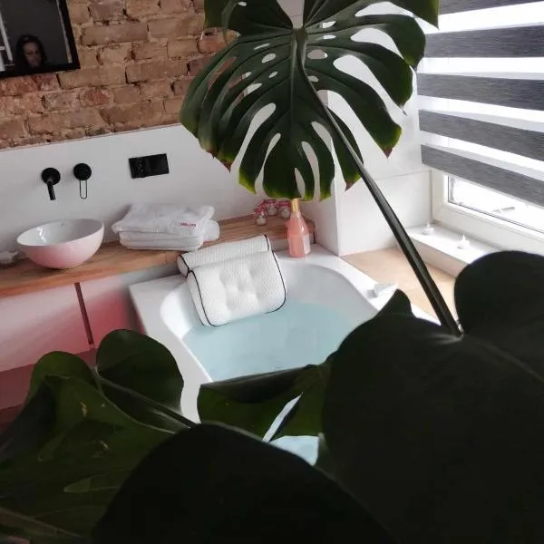 Apartment romantyczny SAKURA，位于延杰尤夫的酒店