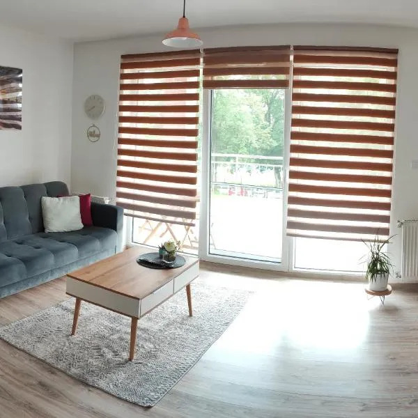 Apartament nad Jeziorem w Olecku，位于奥莱茨科的酒店