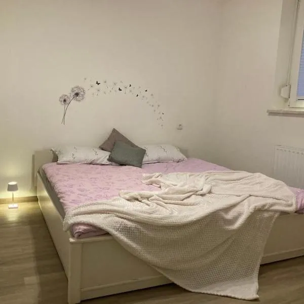 Nice apartment in Celje，位于采列的酒店