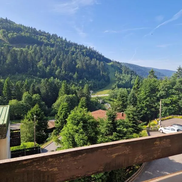 La Bresse OURSON，位于拉布雷斯的酒店