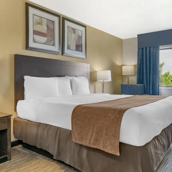 Best Western Port Huron Blue Water Bridge，位于休伦港的酒店