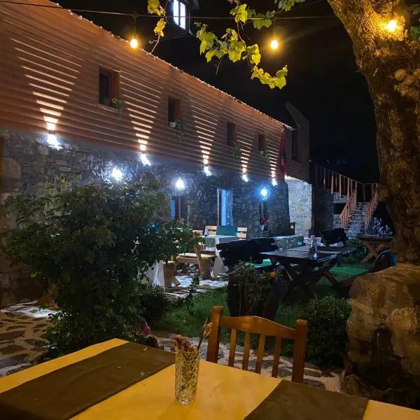 Guesthouse Bec Villi，位于泰斯的酒店