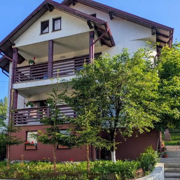 Vila CETINA，位于丰杜摩尔多瓦的酒店