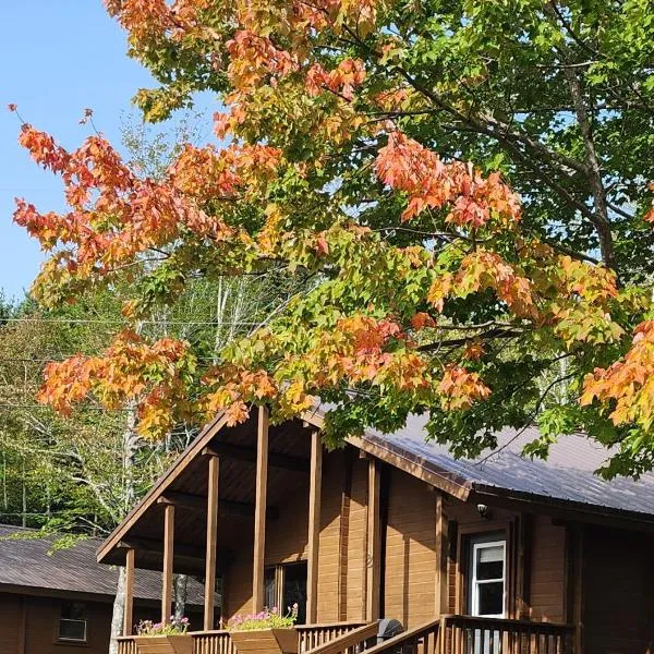 Ingonish Chalets，位于英戈尼什海滩的酒店