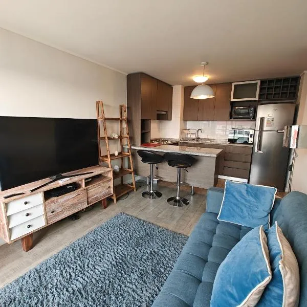 Departamento cómodo，位于圣地亚哥的酒店