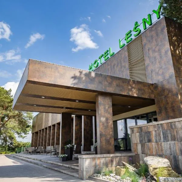 莱斯尼酒店，位于比亚韦斯托克的酒店