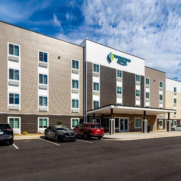 WoodSpring Suites Sumter near Shaw AFB，位于萨姆特的酒店