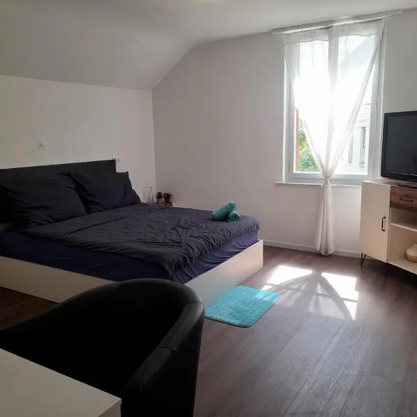 Bed & Breakfest Wohlen AG Central，位于Wohlen的酒店