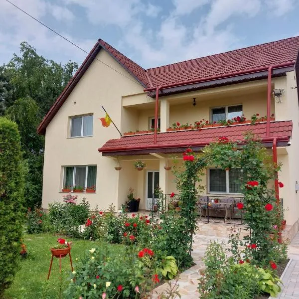 Steaua Nordului，位于特尔古尼亚姆茨的酒店