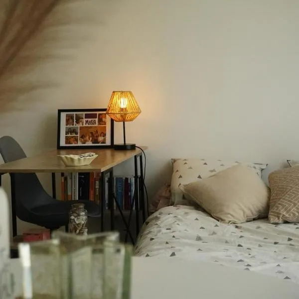 Logement neuf - cœur de ville，位于永河畔拉罗什的酒店